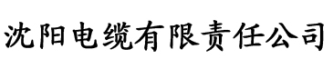 吉祥影院最新影视大全电缆厂logo